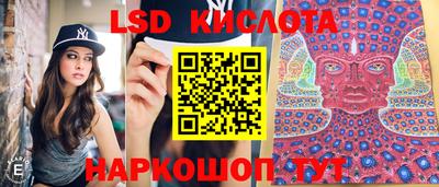 крисы Лесосибирск