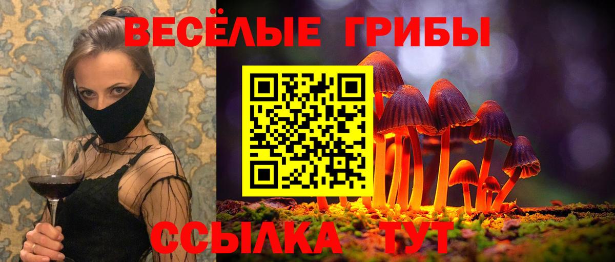 Дивногорск  купить закладку  Псилоцибиновые грибы Cubensis  Вход с VPN  Галлюциногенные грибы Magic Shrooms 